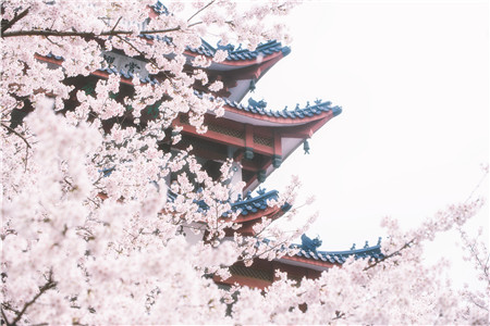 俄亥俄大学2021年秋季入学承诺新鲜出炉！