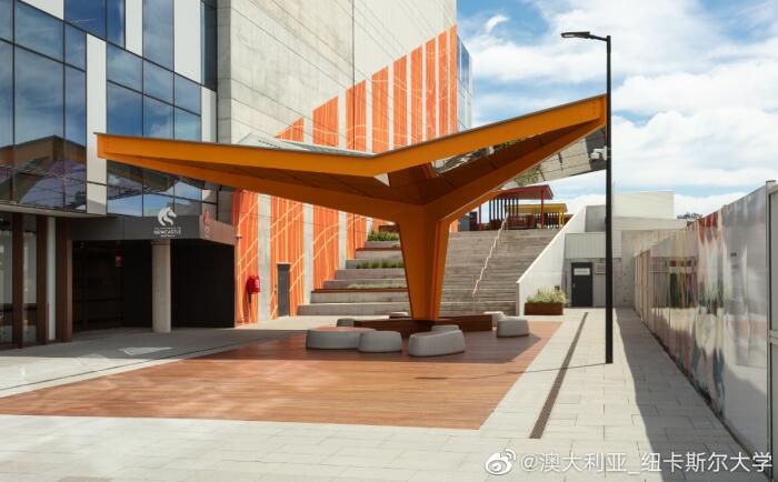 澳洲纽卡斯尔大学